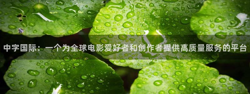 青柠影视网：中字国际：一个为全球电影爱好者和创作者提供高质量服务的平台