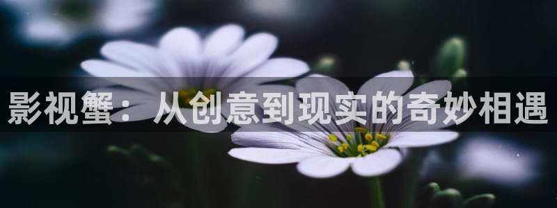 青柠影：影视蟹：从创意到现实的奇妙相遇