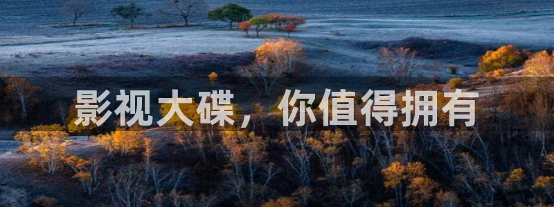 青柠影视：影视大碟，你值得拥有