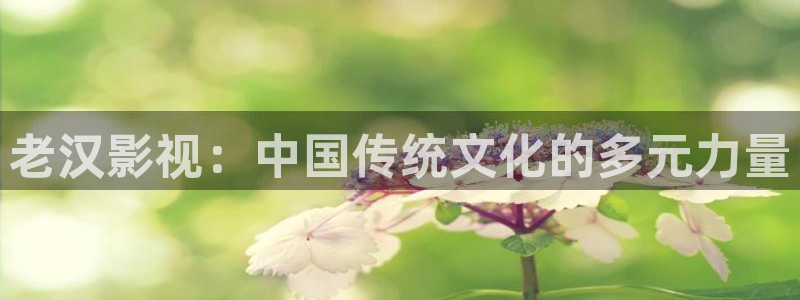 青柠影院免费观看在线高清：老汉影视：中国传统文化的多元力量