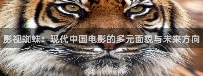 青柠在线电视剧免费观看策驰影院：影视蜘蛛：现代中国电影的多元面貌与未来方向